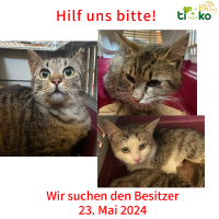 thumb_Fundtiere FB(7)